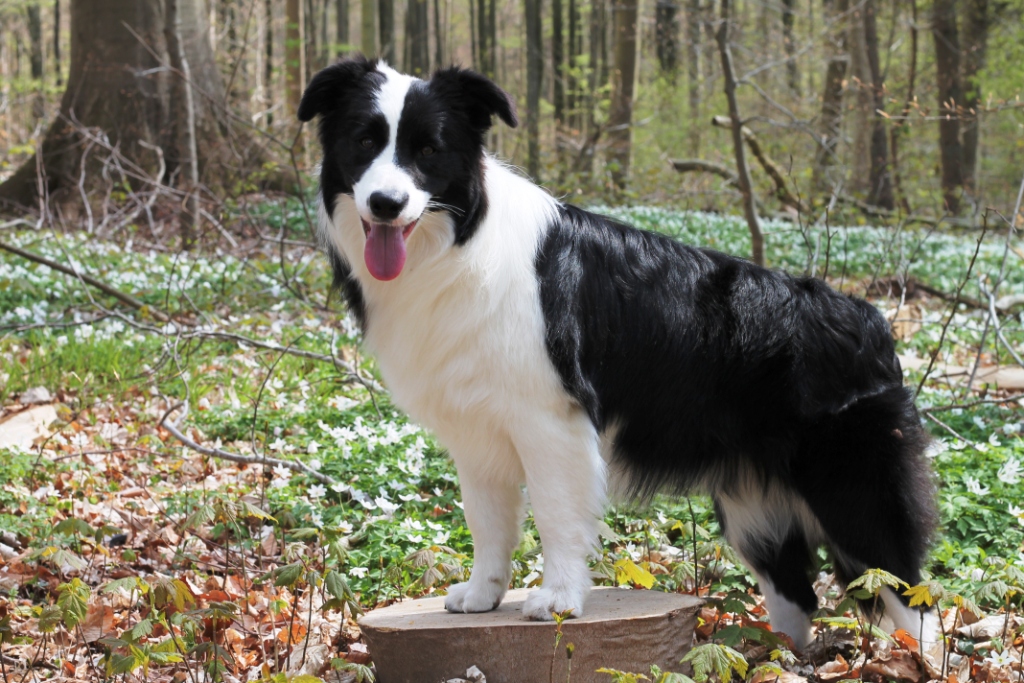 Hope - Cleversoul Perfect Time In 