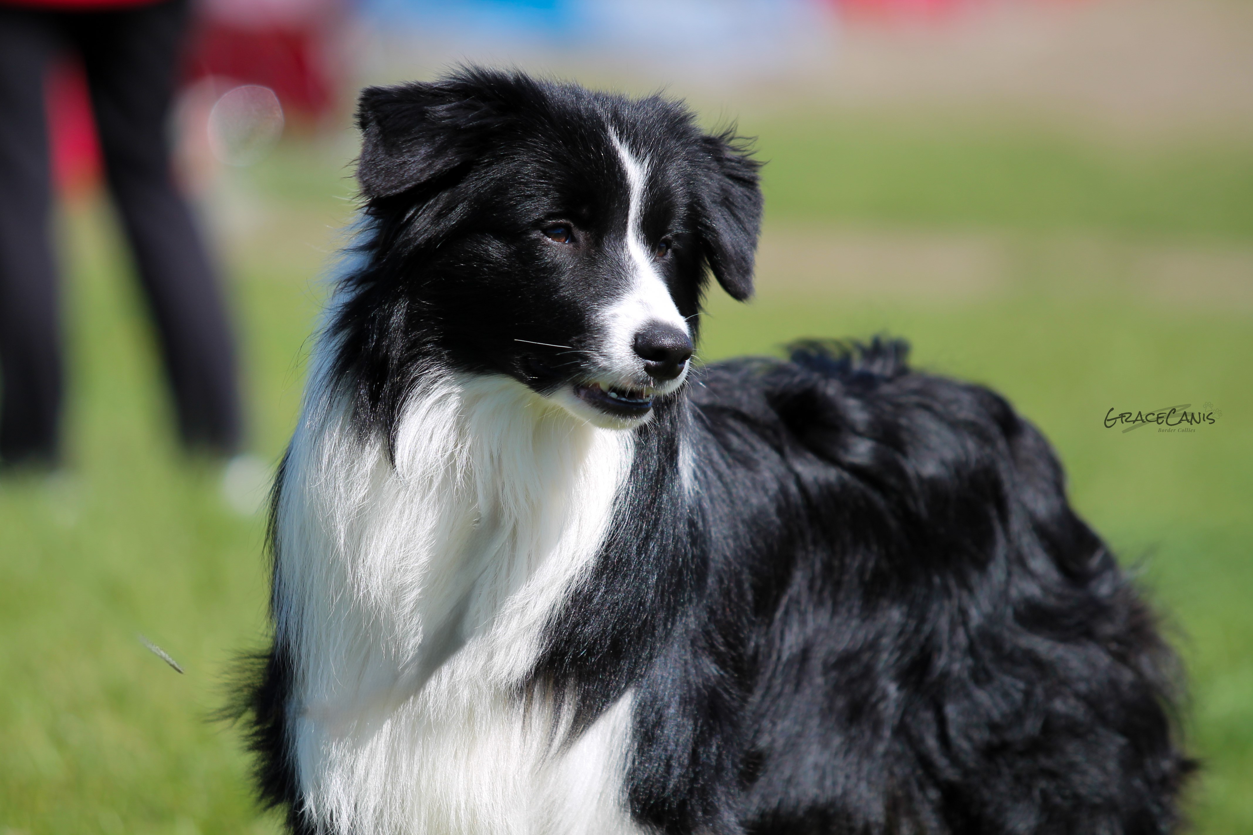 Hope - Cleversoul Perfect Time In 