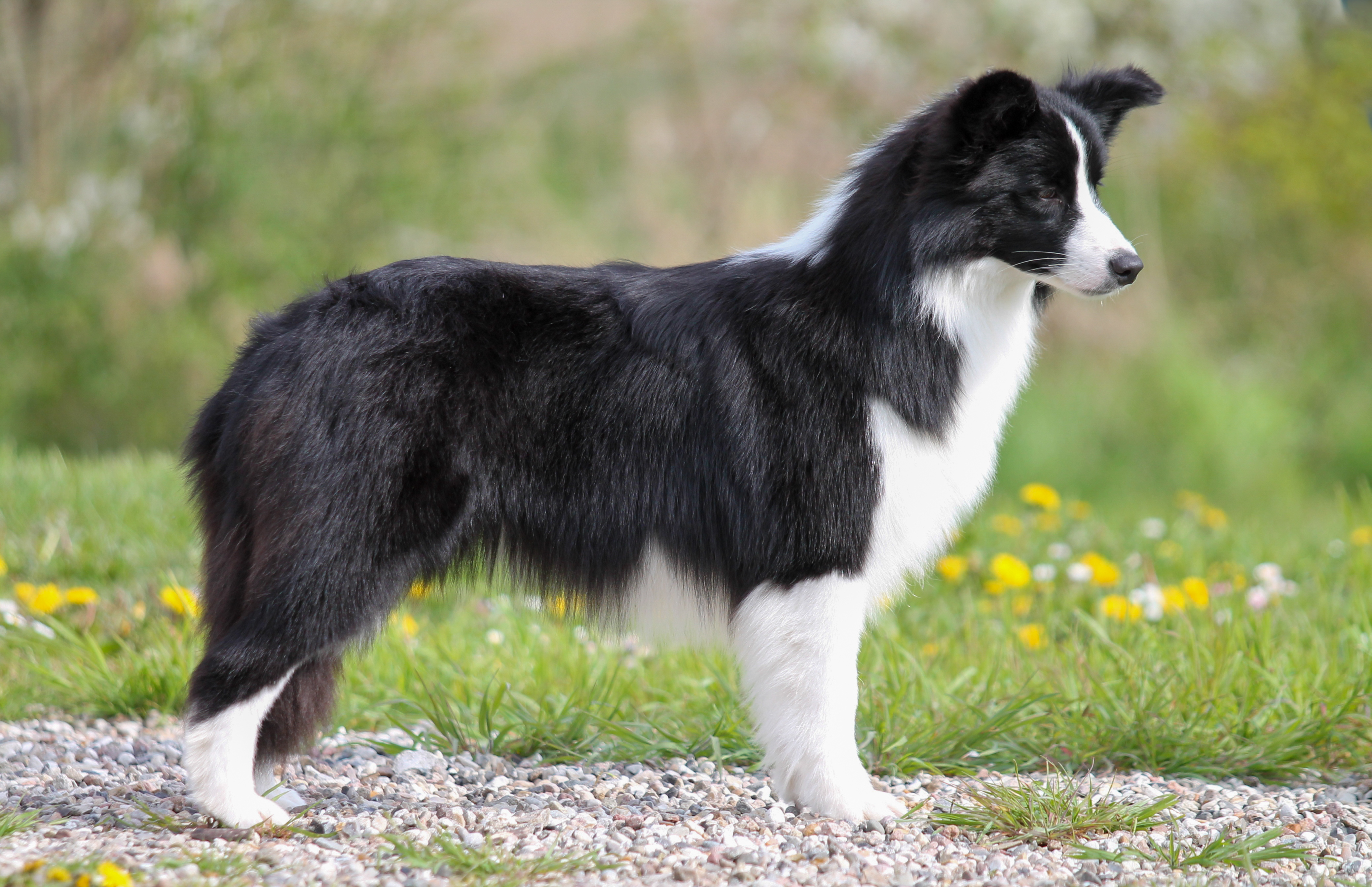 Hope - Cleversoul Perfect Time In 